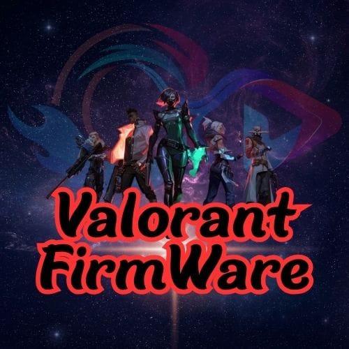 Valorant FirmWare